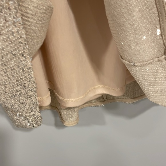 DEX champagne sequin skirt - Picture 9 of 9